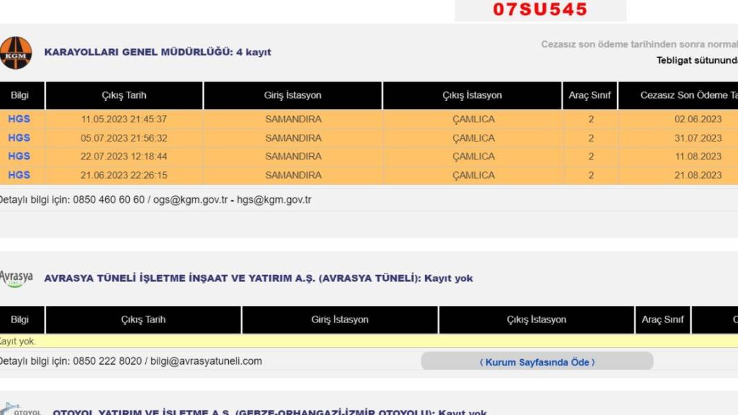Hiç gitmediği İstanbul'dan trafik cezaları yağdı: Şahinim oralara kadar gidemez zaten 6